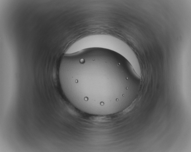 X0000112950132200909141415