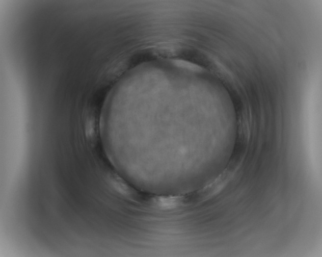 X0000112950134200909141415