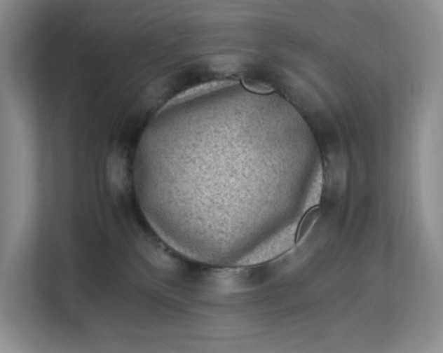 X0000112950136200909141415