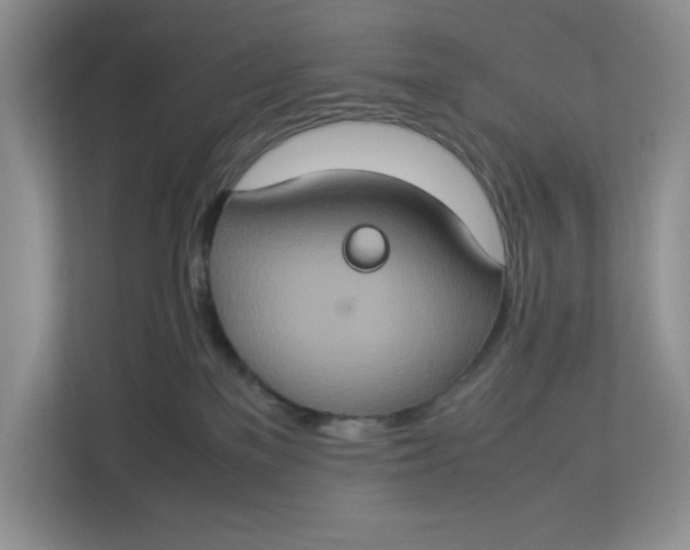 X0000112950137200909141415