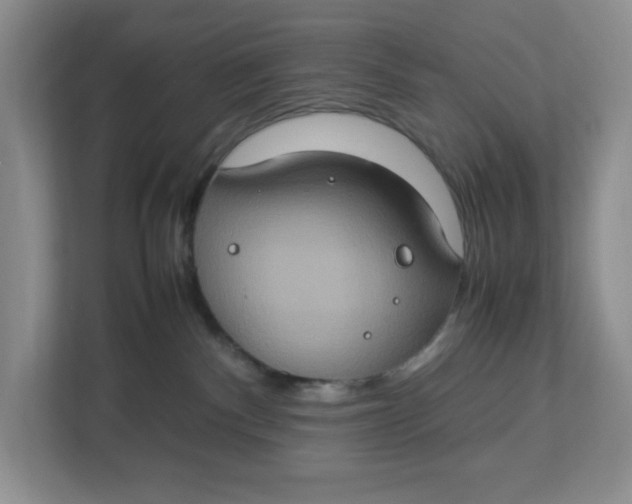 X0000112950140200909141415