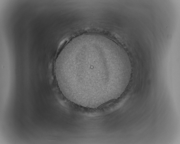 X0000112950144200909141415