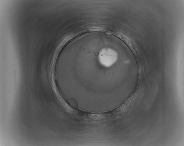 X0000112950145200909141414