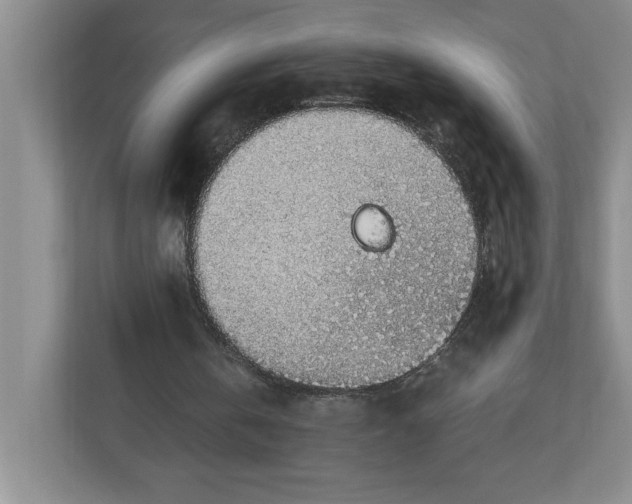 X0000112950146200909141414