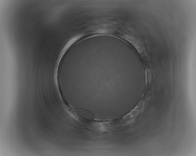 X0000112950147200909141415