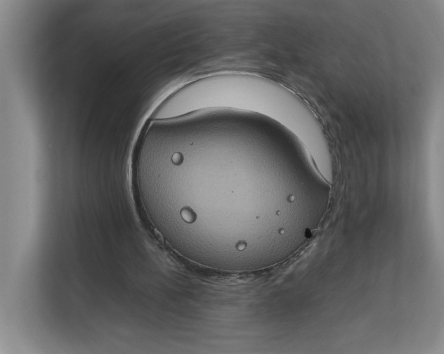 X0000112950148200909141415