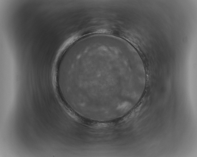 X0000112950149200909141415