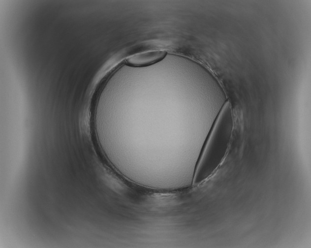 X0000112950150200909141415