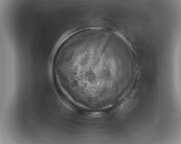 X0000112950151200909141415