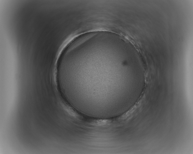 X0000112950152200909141415