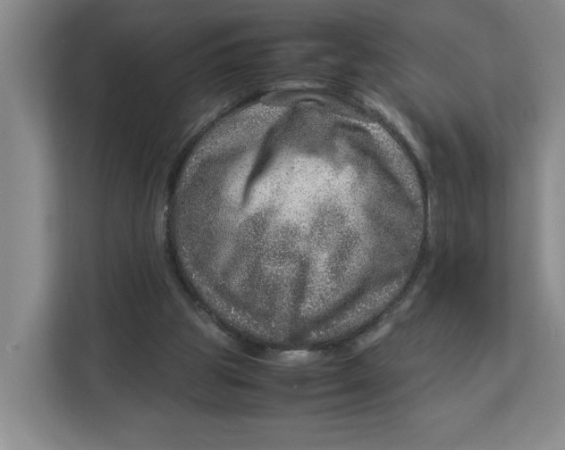 X0000112950153200909141415