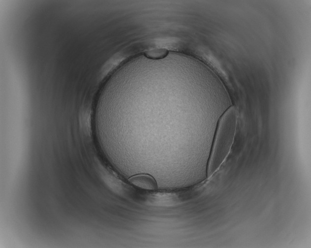 X0000112950154200909141415