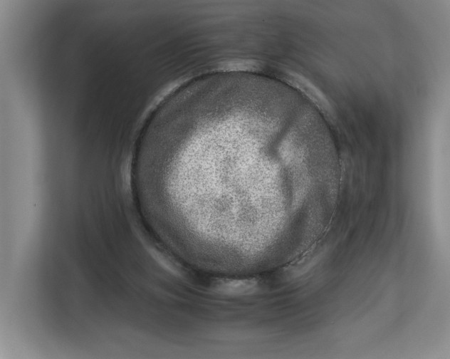 X0000112950155200909141415