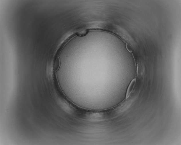 X0000112950156200909141415