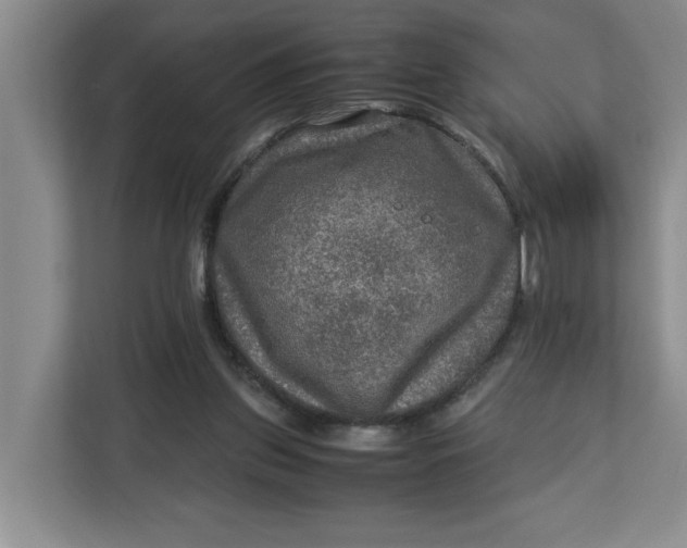 X0000112950157200909141415