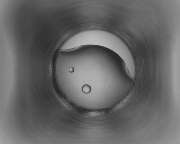 X0000112950158200909141415