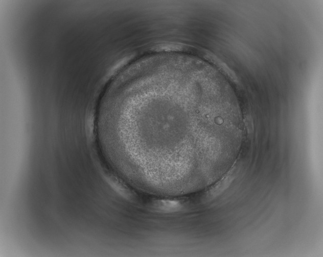 X0000112950159200909141415