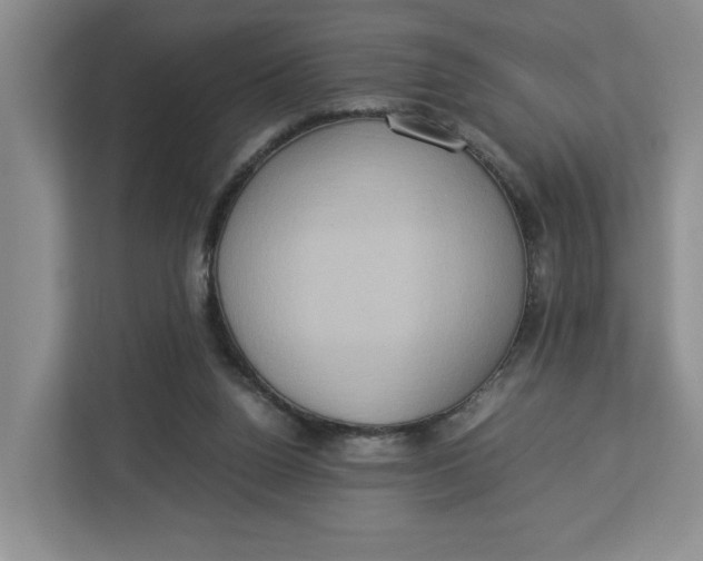 X0000112950160200909141415