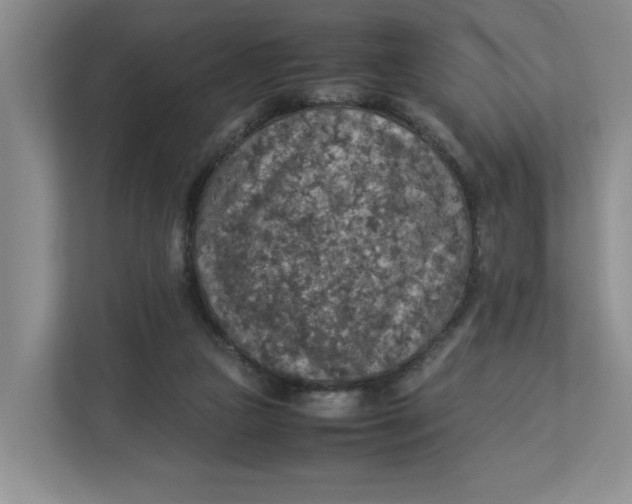 X0000112950161200909141415