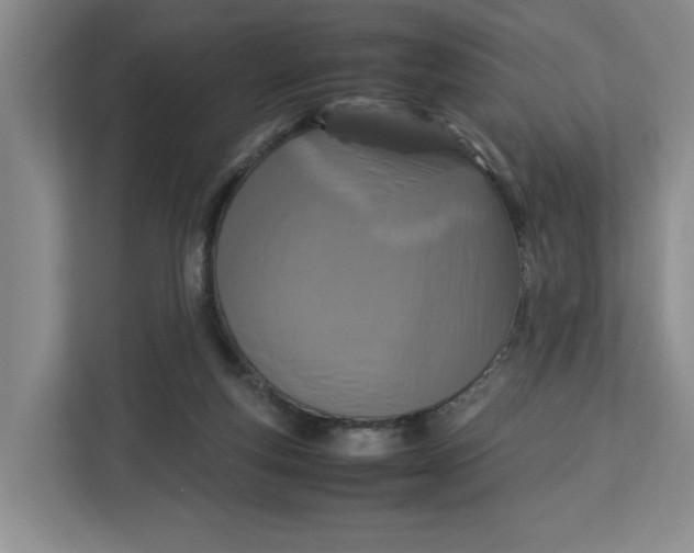 X0000112950163200909141415