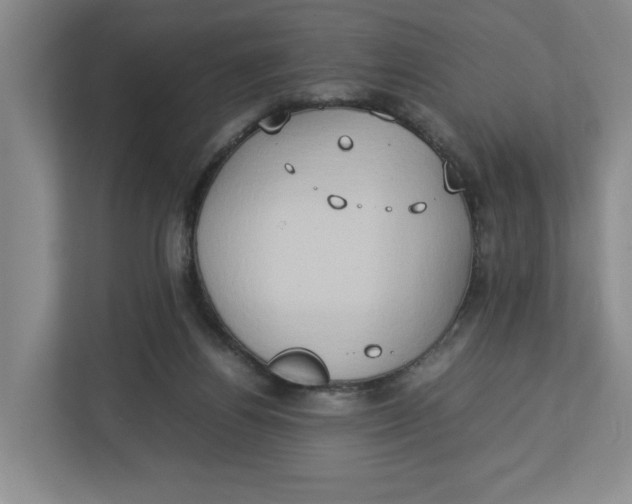 X0000112950164200909141415