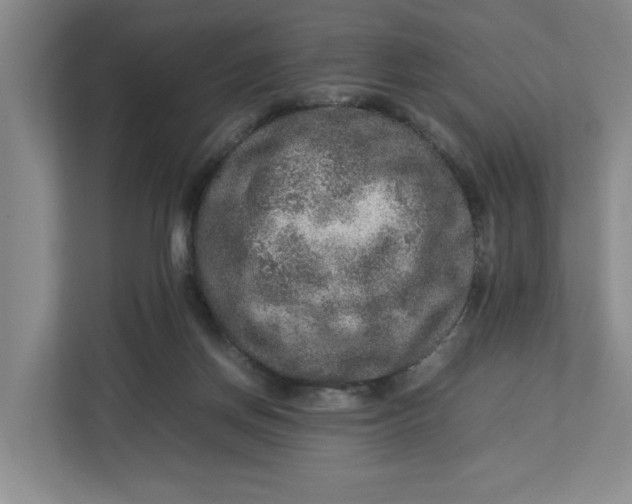 X0000112950166200909141415