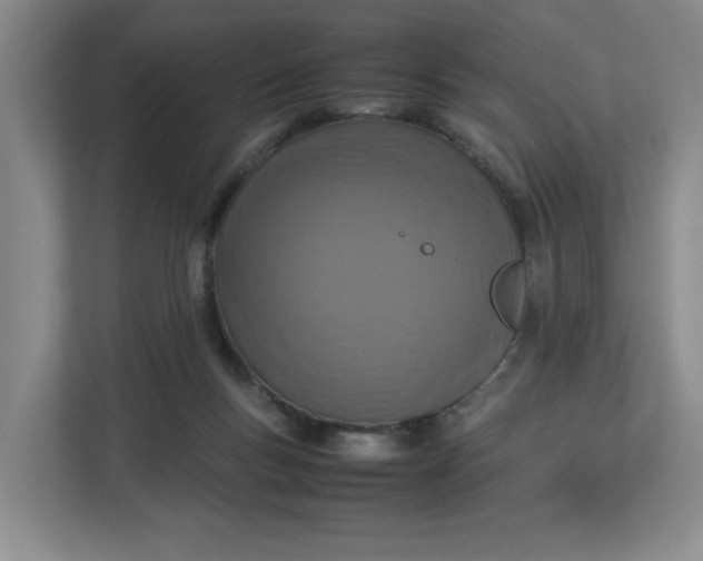 X0000112950167200909141415