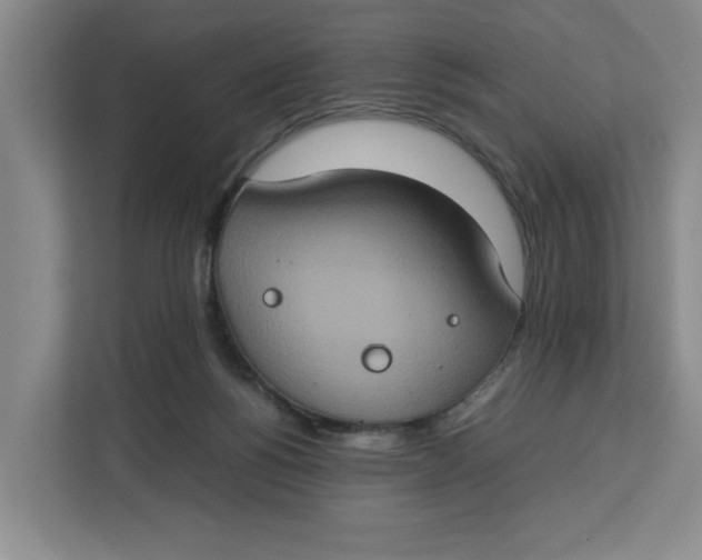 X0000112950168200909141415