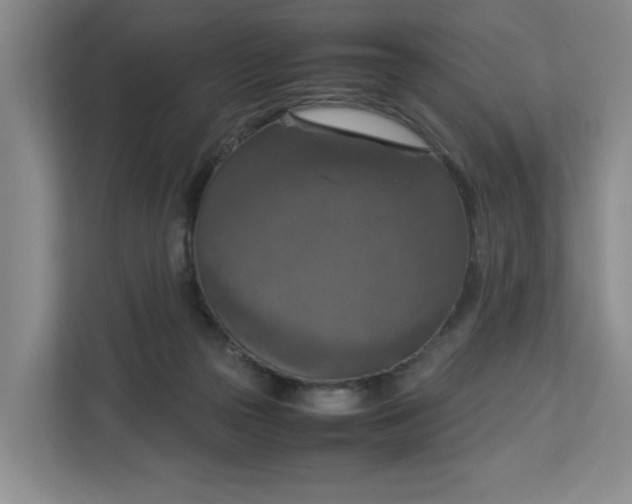 X0000112950169200909141415