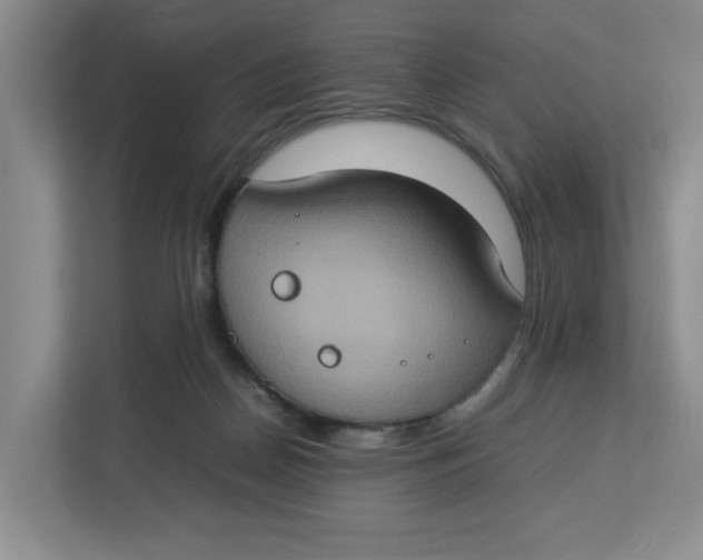 X0000112950170200909141415