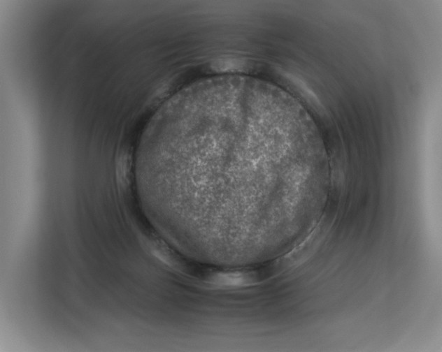 X0000112950171200909141415