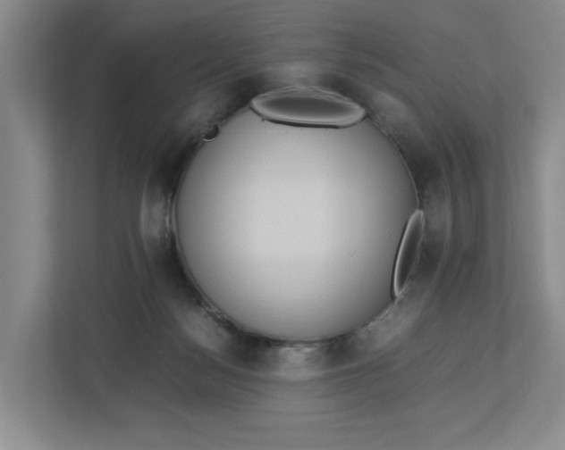 X0000112950172200909141415