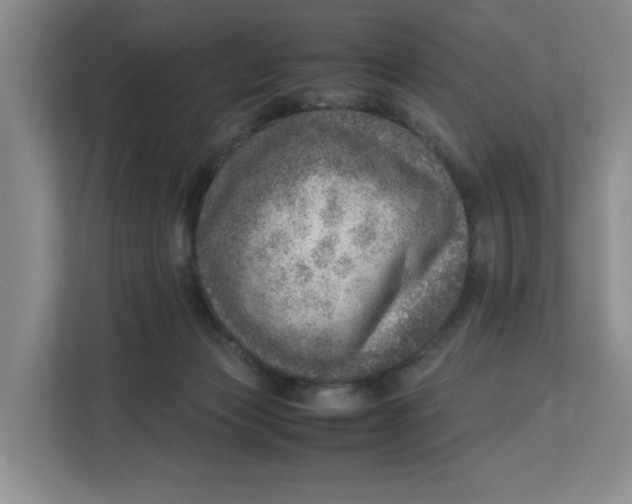 X0000112950173200909141415