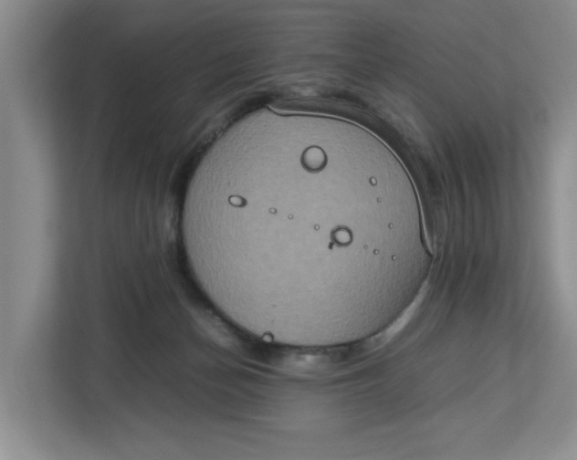 X0000112950174200909141415