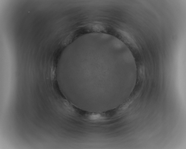 X0000112950177200909141415