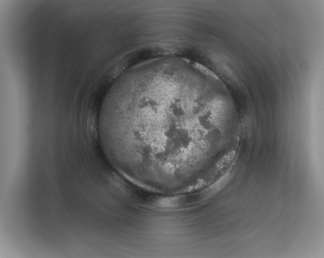 X0000112950178200909141415