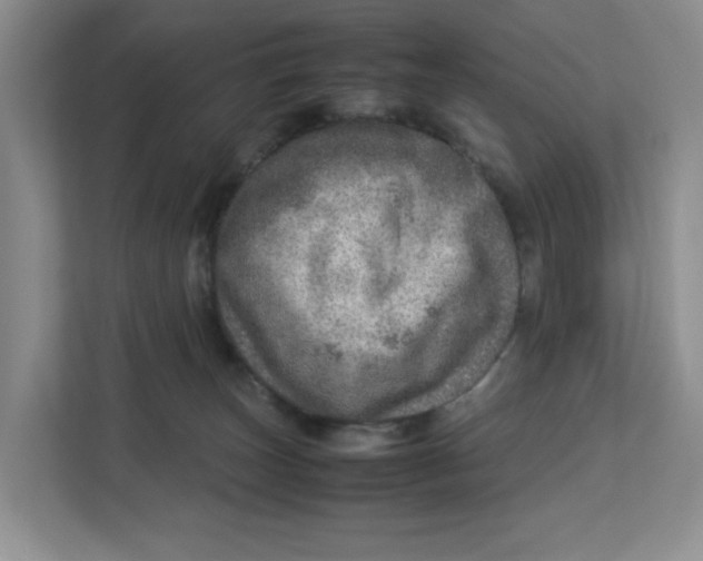 X0000112950179200909141415