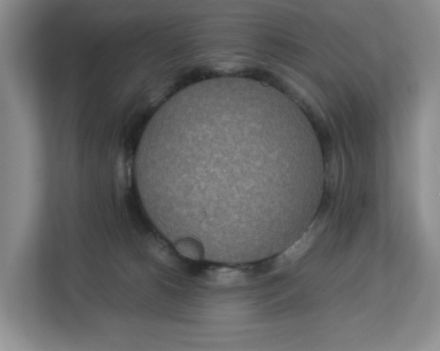 X0000112950180200909141415