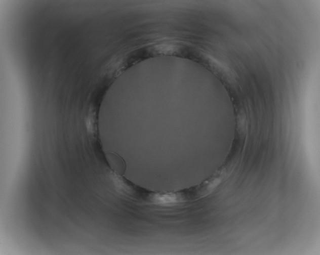 X0000112950181200909141415