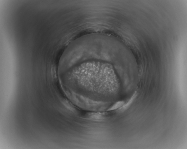 X0000112950182200909141415