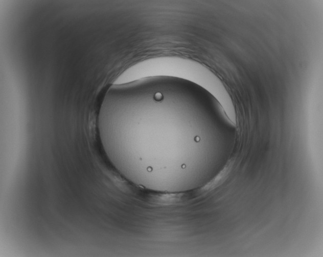 X0000112950184200909141415