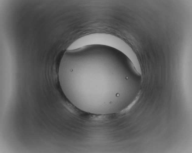 X0000112950186200909141415