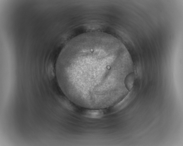 X0000112950187200909141415