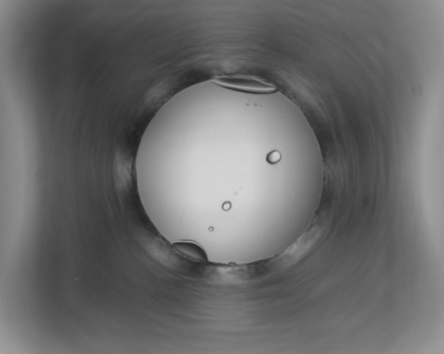 X0000112950188200909141415