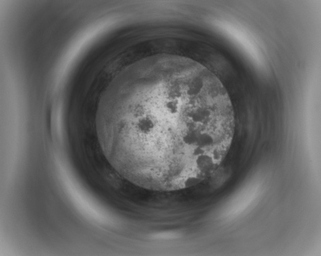 X0000112950189200909141415