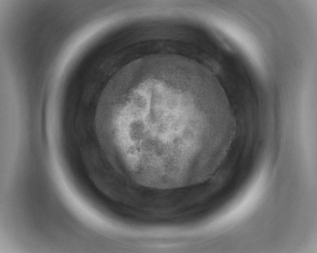 X0000112950191200909141415