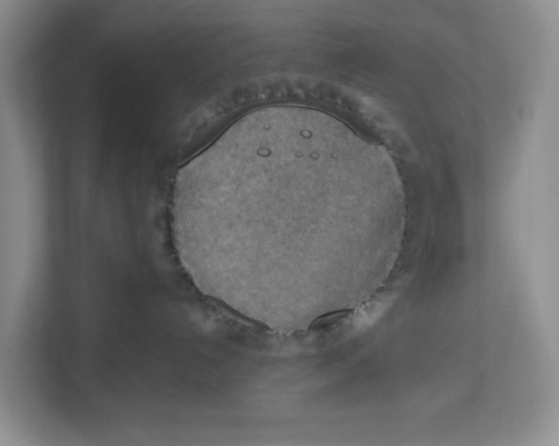 X0000112950192200909141415