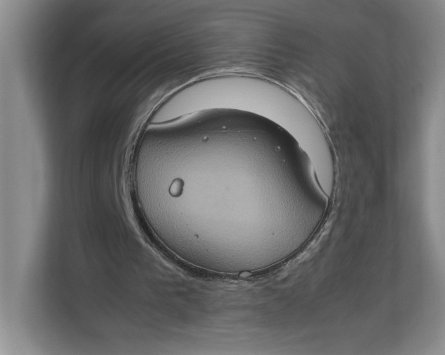 X0000112950193200909141414