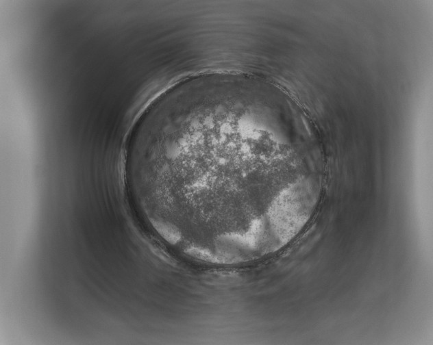 X0000112950194200909141414