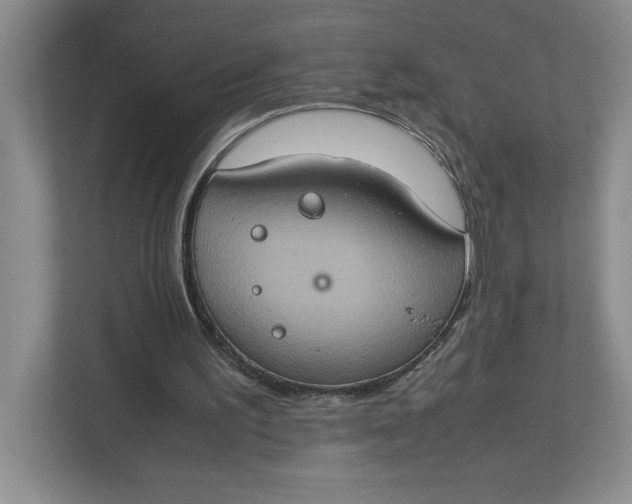 X0000112950195200909141414